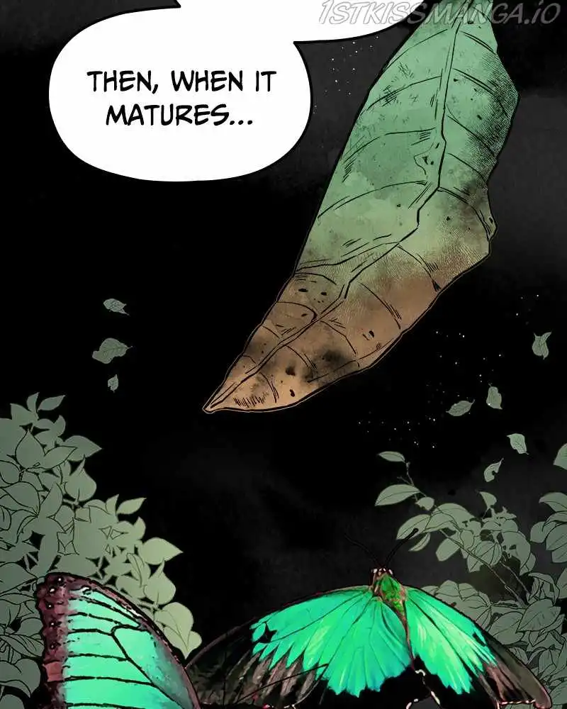 Blood and Butterflies Chapter 55 61